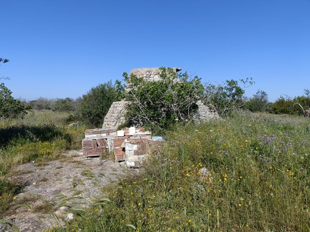 Giano Group Immobiliare